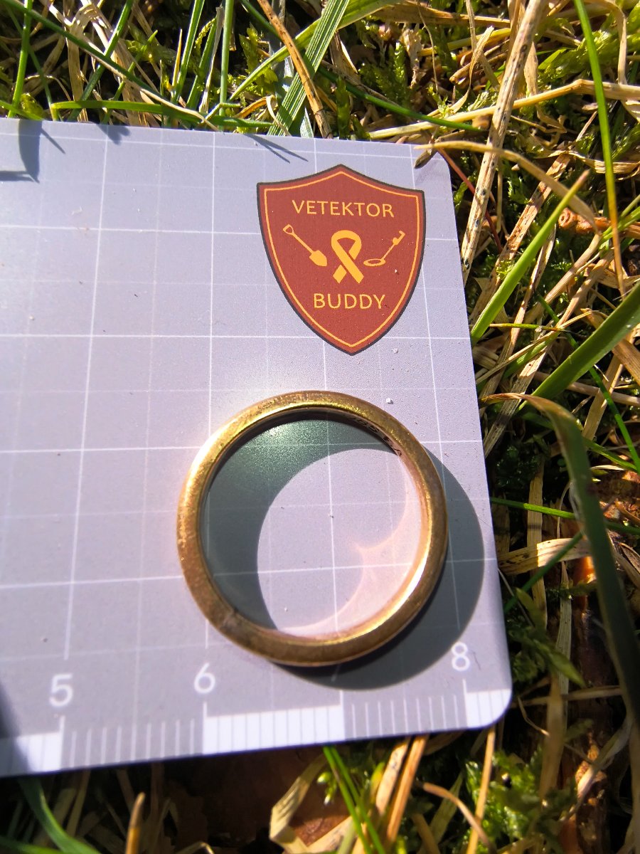 DIME#375732-1 Vielses Ring
